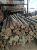 Treated poles 9ft & 8ft