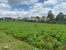 0.75 ac Land at Tigoni Kentmere