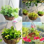 Hanging basket with coco liner