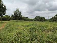 Residential Land at Paradise Lost