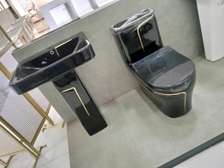 Modern Black toilet set