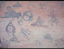 insects