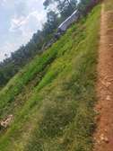 100by100 plot for sale in ruaka