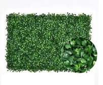 BOXWOOD WALL HEDGE PANNELS