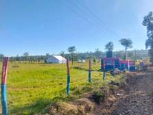 Prime plots in Nakuru