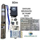 shiyuan brushless dc pump 80m