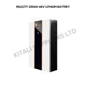 Felicity 200AH 48V Lithium Battery