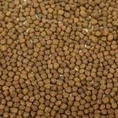 Fish Food Pellets