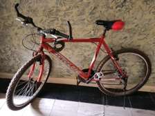 Antelope Racer Bike