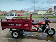 DAYUN BLUE STAR