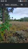 Prime Land Plot for Home, Farm & Investment