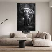 black and white elephant potraits