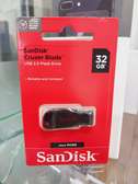 Sandisk High PERFORMANCE 32 GB/32GB Flash Disk