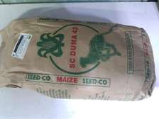 SC DUMA 43 MAIZE SEEDS 2 KG