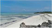 1/4 acres beach plots for sale  - Malindi