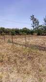 QUARTER ACRE LAND FOR SALE AT KENOL TOUCHING HIGHWAY.