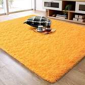 Size 5*8 Fluffy carpets