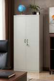 Office Cabinet: Modern 2-Door File Cabinet