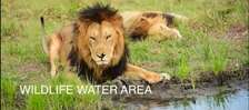 33 ac Land at Narok County