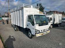 ISUZU NQR