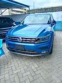 Volkswagen Tiguan blue 🔵
