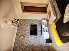 Sleek fully furnished one bedroom along Thika road