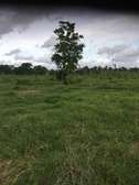 24 Acres Near Galana River in Malindi Are For Sale