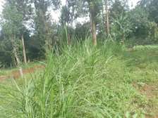 Residential Land in Kiambu Road