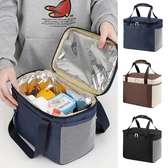 Insulated thermal cooler bag(C)