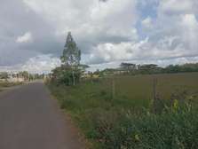Land in Karen