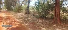 Land-Mugoya, Muthatari
