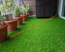 Turf carpet grass