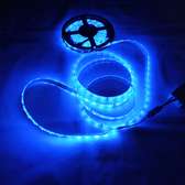 5meters Led Snake Lights for Decoration with remote control