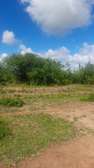 200 Acres Agricultural Land Is For Sale In Kitui Kithyoko