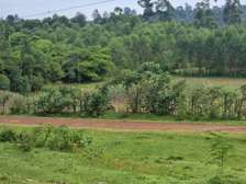 PRIME LAND ON SALE, SOTIK, 1.6 Acres