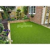 refined looking grass carpets
