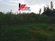 Land in Tigoni