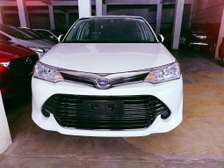 Toyota Axio G white 2017 2wd
