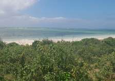 10 Acres Of Beach Plots Facing The Sea In Kwale Are For Sale