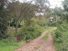 500 m² Residential Land in Ngong