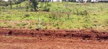 Affordable and prime plots in Kikuyu Kiambu