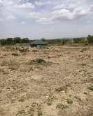 Affordable plot for sale
