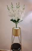 Indoor Luxurious Golden Decorative Plant Stand