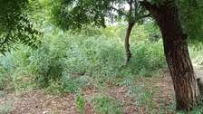 Land in Watamu