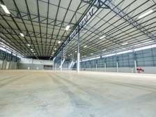 53,820 ft² Warehouse with Backup Generator in Eastern ByPass