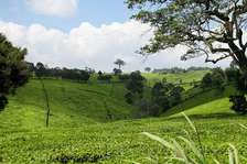 20 ac Land at Riara Ridge