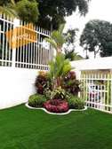 Beautiful outdoor grass carpet