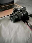 CANON EOS R50