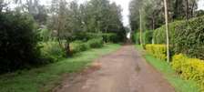 0.4 ac Land at Muthaiga