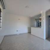 Misty Springs, Westland’s Road.